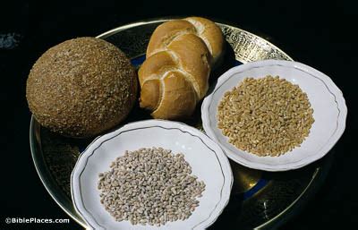 Here are some white bread vs brown bread nutrition facts. Judges 7 - BiblePlaces.com