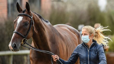 Nathaniel wilmot oliver and eliza baxter.1,2 she married reverend chambré corker townsend. Burnham Market Horse Trials trot-up report: one held and ...