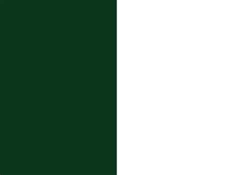 The city flag is a vertical tricolor in blue, white. "New York Jets" by ShanonaMommy1981 | Flag colors ...