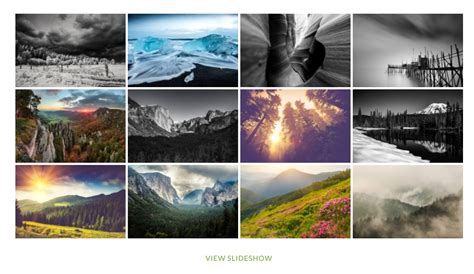 9 Best WordPress Photo Gallery Plugins (Compared With Examples) • Best ...