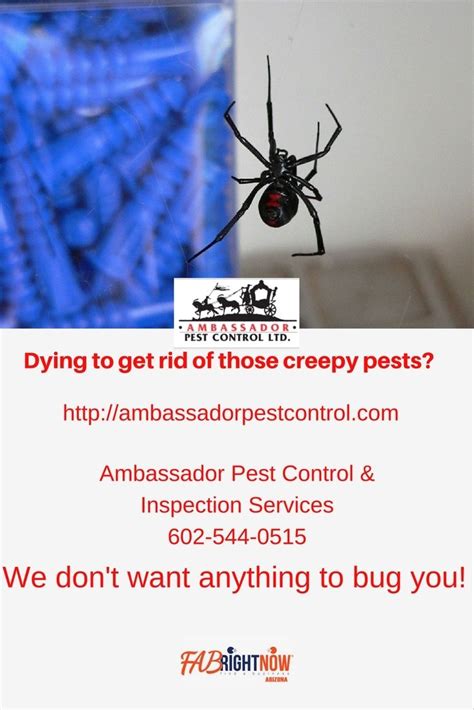 In business since 1982, do it yourself pest control has been the #1 seller of pest control we ship from both atlanta, georgia and phoenix, arizona for fast delivery. Pin on Home Services