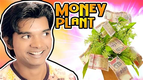 See money plant stock video clips. If Money Plant is Real | Hindi Comedy Video | Pakau TV ...