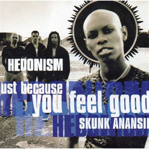 Skunk anansie's first studio album after the reunion, wonderlustre, was released internationally on 13 september 2010. Hedonism by Skunk Anansie, CDS with didierf - Ref:118187856