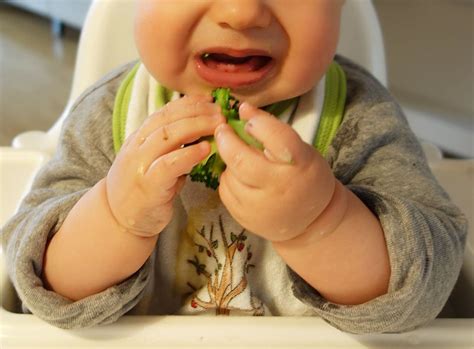 3,532 likes · 1 talking about this. B(r)eikost und BWL kombinieren - das isst unser Baby ...