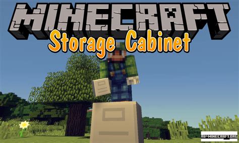 Maybe you would like to learn more about one of these? Скачать Storage Cabinet для Minecraft 1.12.2