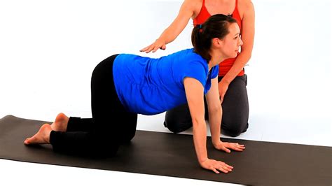Start by coming on to the ground or yoga mat and find the table top position on your hands and knees. How to Do Prenatal Yoga Cat & Cow Pose | Pregnancy Workout ...