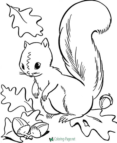 Coloring pages, books, tutorials & reviews by jennifer stay Squirrel - Free Autumn Coloring Pages