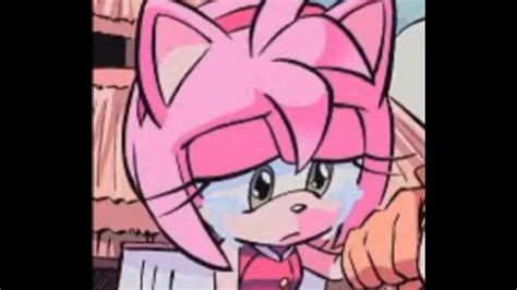 We did not find results for: Rosalina,Cream the Rabbit,Amy Rose & 18-Volt (Crying ...