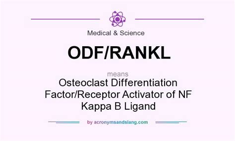 Collections now are born from a redesign of classic tracksuits, sweatsuits, and retro sports styles that retain focus on the omini logo. What does ODF/RANKL mean? - Definition of ODF/RANKL - ODF ...