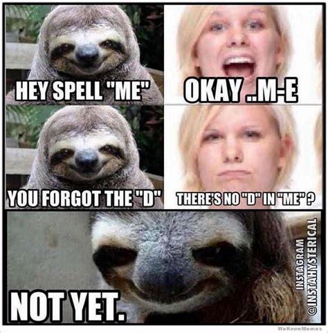Funny dirty jokes making your mind dirty. 33 Funny Whisper Sloth Meme Will Make Smile On Your Face ...