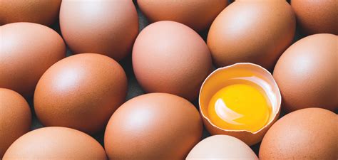 Egg of domestic fowl as food item. The myth of egg yolk colour — does feed and diet influence ...