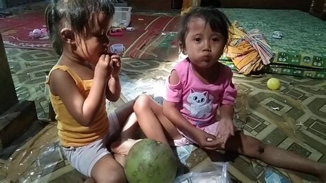 Mimpi melihat buah jeruk di pohon. Makan jeruk dulu - YouTube