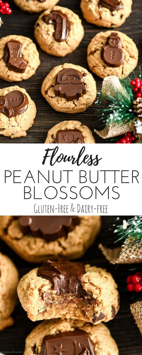 Here you can find baking mad's recipes for a great festive season! Flourless Peanut Butter Blossom Cookies are the ultimate Christmas dessert recipe! They ...