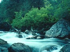 Pisgah national forest is a national forest in the appalachian mountains of western north carolina. Pisgah National Forest Cabins in Western NC | Linville ...