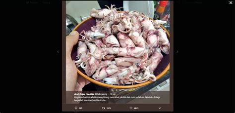 Ini menjadi viral di media sosial twitter tersebut, selain foto masih ada banyak lagi salah satunya ada apa dengan cumi cumi. Mengaku Temukan Sampah Plastik di Tubuh Cumi-cumi, Ini Fakta Sebenarnya - HiTekno.com