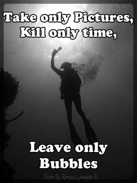 We did not find results for: Scuba Diving Quotes