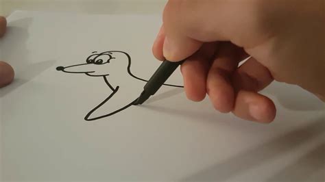 This is the official facebook page of arjen robben! Robbe zeichnen (Comic, Cartoon) - Tiere zeichnen lernen ...