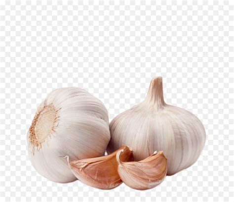 If you have granulated garlic instead of garlic powder, the recommended ratio is 1/2 teaspoon of granules for every fresh clove. 50+ Clove Of Garlic Minced - さじとも