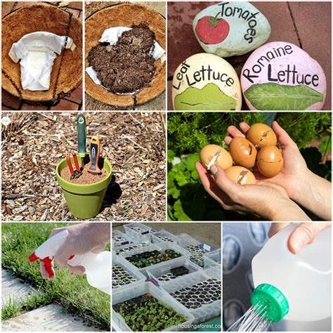 They can filter our such gases such as formaldehyde, benzene, and trichloroethylene this will help give your home a pleasant aroma. 13 Money Saving Gardening Hacks You'll Kick Yourself For ...