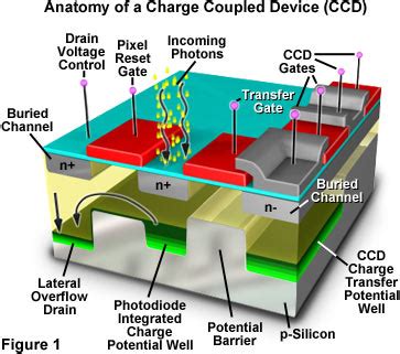 Atx extreme garrett pulse induction metal detector with 11×13 dd closed searchcoil. Hamamatsu Learning Center: Anatomy of a Charge-Coupled Device