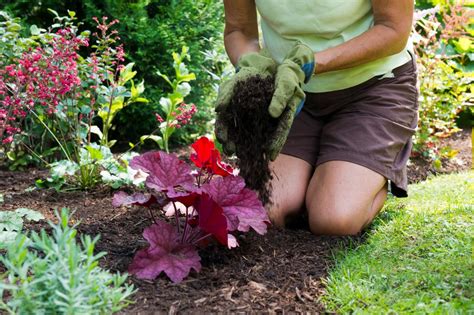 How to apply mulch for the best weed control. 10 Mulch Do's and Don't's | HGTV