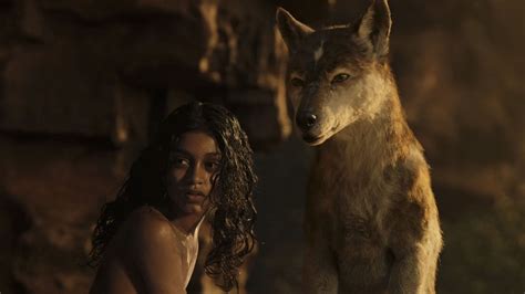 El libro de la selva película de 2016 wikipedia, la ~ mowgli se enfrenta a. Ver Mowgli: La leyenda de la selva Película Completa ...