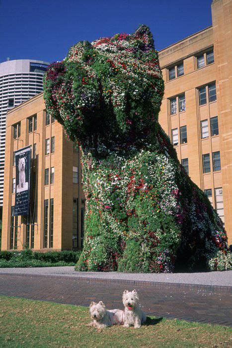 The following year, 1998, koons produced the. 39 HQ Images Jeff Koons Puppy Analysis / Aus Unruhigen ...