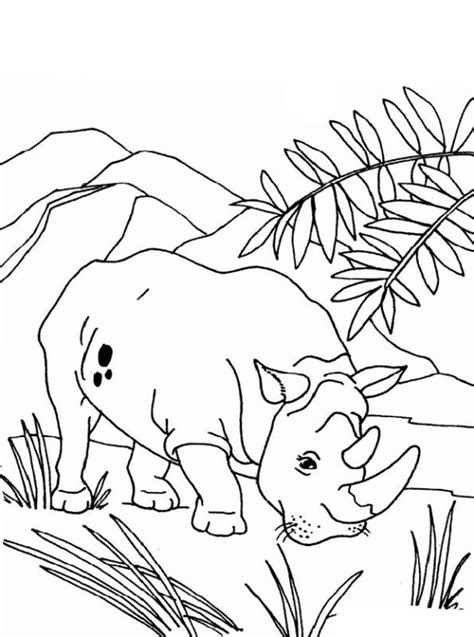 100% free jungle animal coloring pages. Kids-n-fun.com | Coloring page Rhino rhinoceros 1