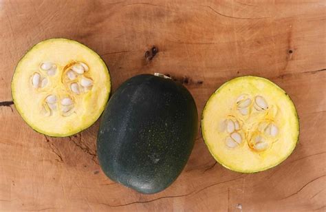 A gem squash is a summer squash grown in south africa. Gem Squash Crop Management