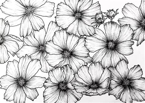 Drawing from life is ideal, as you can if you aren't confident with a pen, try drawing a very light sketch in pencil first, then do the ink line. How to Draw ANY Flower with Pen & Ink - Ran Art Blog