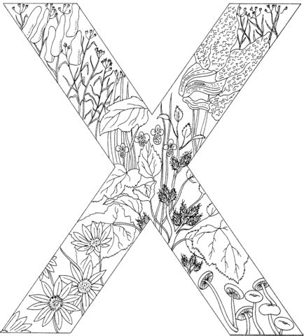 Elegant disney alphabet informations about coloring pages car pin you can easily use my profile to examine different pin types. Letter X with Plants coloring page from English Alphabet ...