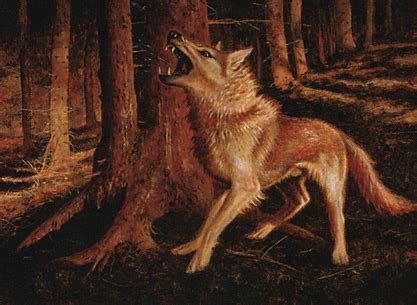 I will choose someone by myself. Feral Ridgewolf of ISD $0.2 |$0.22