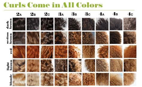 This is a very detailed natural hair video!learn the differences between natural hair types, curl patterns, density, textures and porosity!comment below your. I personally have three different textures on my head and ...