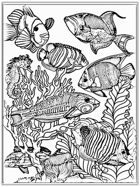 Looking for some adult coloring pages? Adult Free Fish Coloring Pages | Realistic Coloring Pages