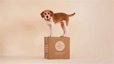 The farmer's dog food review. The Farmer's Dog TV Commercial, 'Built to Eat: 50 Percent ...