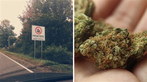 Maybe you would like to learn more about one of these? Signs Are Going Up Reminding You Not to Bring Your Weed into the United States - VICE
