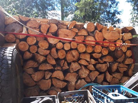 Free 1599 geveva bible audio (mp3) and pdf. Firewood Splitter and Piler Needed Lake Cowichan, Cowichan