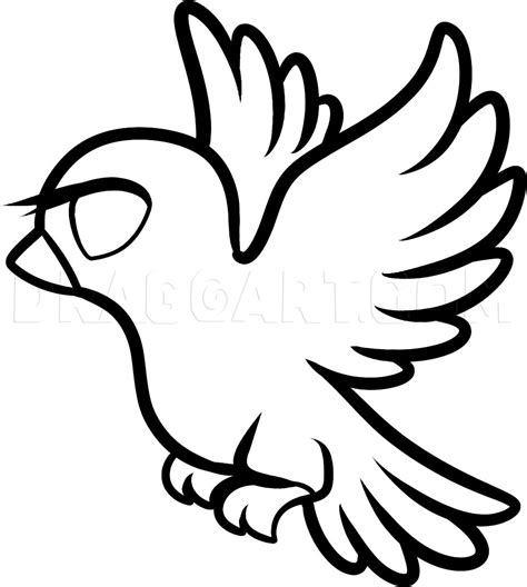 Feb 14, 2008 · t as well. How To Draw A Dove For Kids, Step by Step, Drawing Guide ...