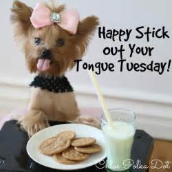 Your smile will give you a positive countenance that will make people feel comfortable around you. 50+ Amazing Tuesday Morning Funny Quotes & Images