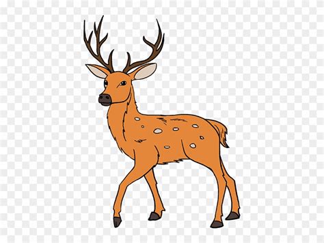 Royalty free white tail 208x243 how to draw a white tailed deer (intermediate) art White Tailed Drawing - Draw Deer Step By Step Clipart ...