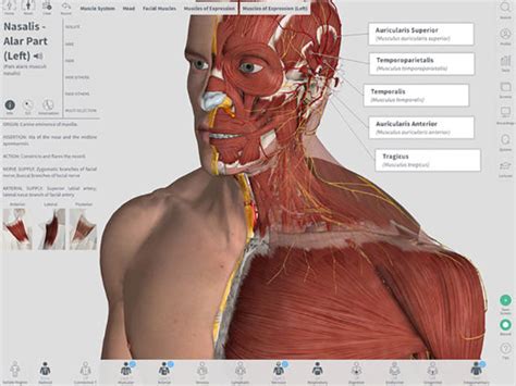 Not just an atlas, but an anatomy learning platform, with unique collaboration and learning tools. دانلود نرم افزار آناتومی کامل بدن انسان در مک Complete ...