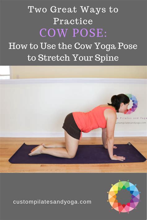 Use this exercise to mobilize your spine, release kinks or stiffness in your back, and prepare for exercise. Two Great Ways to Practice Cow Pose-How to Use the Cow ...