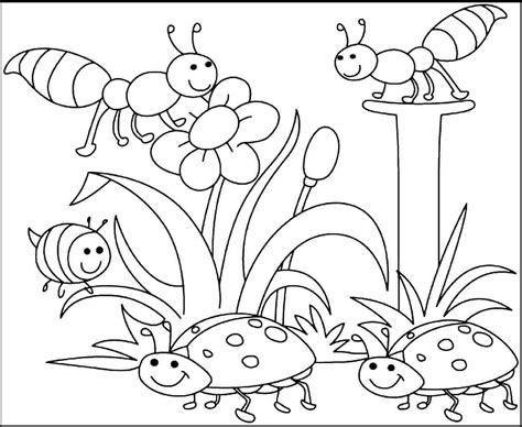 Kindergarten insects coloring pages see more images here : Insects For Kids Coloring Pages - Coloring Home