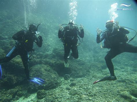 Auf swiss divers hat sich mittlerweile eine kleine gruppe an gue ausgebildeten tauchern eingefunden, welche sicherlich gerne auf fragen über das forum weiterhelfen oder aber auch. Reisebericht - Tauchen auf KRK in Kroatien September 2014