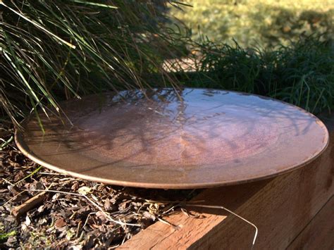 It is 78cm wide by 5 to 6cm deep, and holds 12 litres of water. Spun Copper Dish - Medium | Gardening With Angus