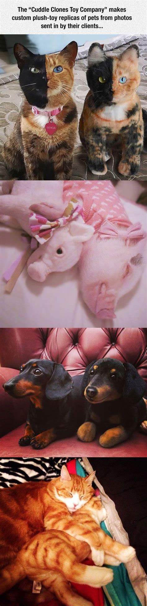 Budsies is a company that brings kids' unique artwork to life by making handmade plushies. This Company Makes Exact Plush Toy Copies Of Your Pets | Cute animals, Pets, Your pet