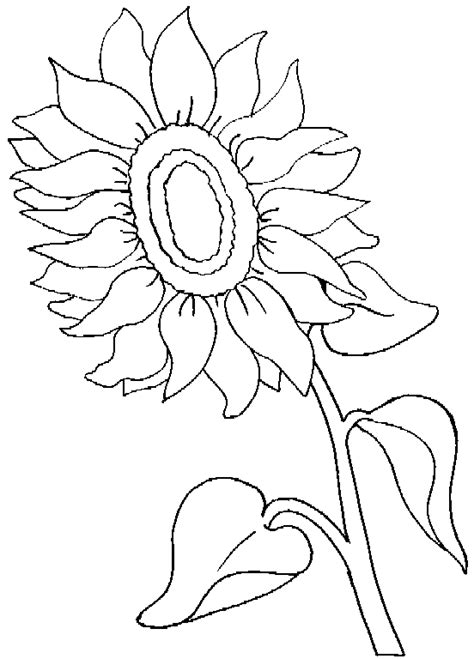 Fast alle malvorlagen haben din a4 größe und liegen als schwarz weiß vector, nicht als pixel grafik vor, was beim ausdrucken eine erheblich bessere qualität zu tage bringt. Ausmalbilder, Malvorlagen - Sonnenblume kostenlos zum ...