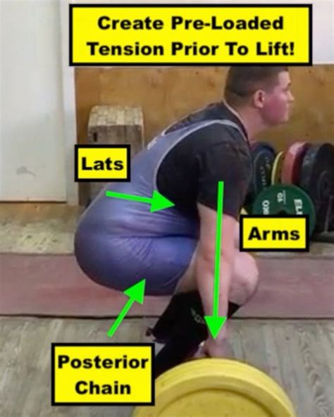 How often should a man release sperm? Squat University on Instagram: "Do you jerk the bar off ...