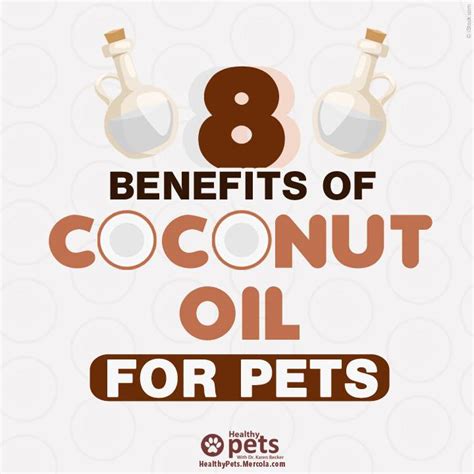 ‎welcome, pet parents and pet lovers! Dr. Karen Becker - 8 Benefits of Coconut Oil For Pets ...