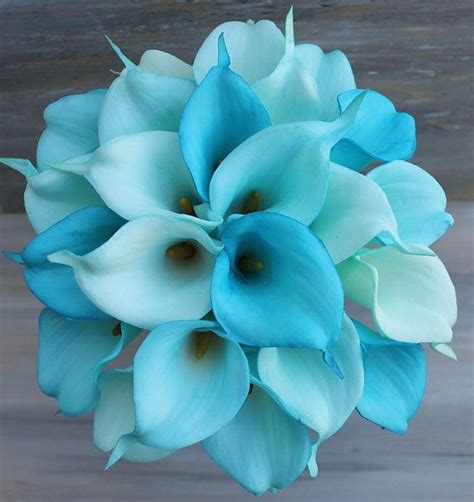 Turquoise is often come combined with fuchsia or coral, and this contrasting scheme makes your beach celebration even cooler. Wedding Bouquet Turquoise Calla Lilly Bouquet by ...